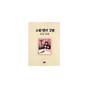 韓国語 本 『小説の外の国旗』 韓国本