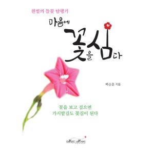 韓国語 本 『飛行機』 韓国本