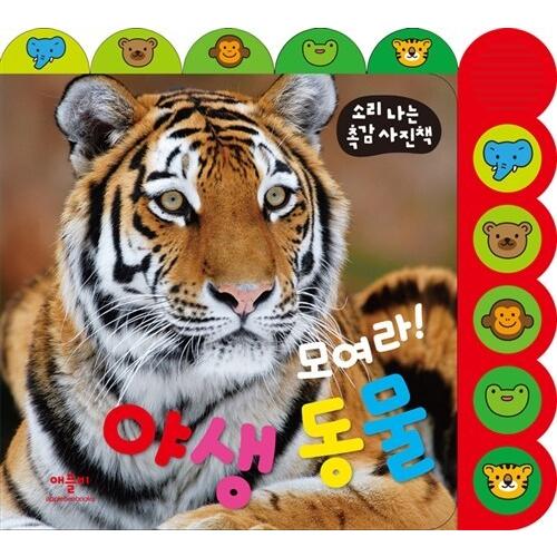 韓国語 幼児向け 本 『集まれ！野生動物』 韓国本