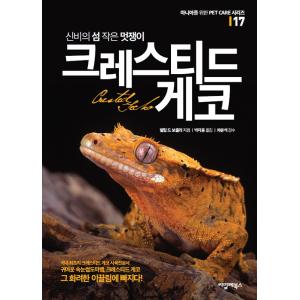 韓国語 本 『神秘の島の小さなおしゃれクレステッドゲッコー』 韓国本