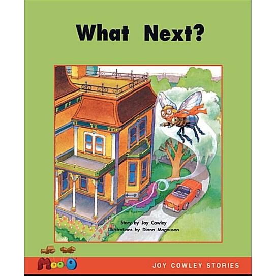 What Next? (Paperback)