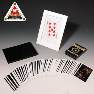 手品・マジック DPG 額縁と蜘蛛 完全セット（カードボックス・トランプ付） V5495｜magicexpress