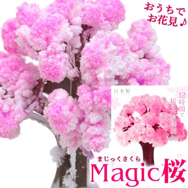 Magic桜 マジック桜 紙製 桜の木 さくら パーティーグッズ