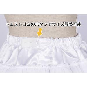 ハードパニエ ホワイト ブラック ミニ レギュ...の詳細画像2