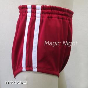 ブルマ 赤 ライン入り 体操服 体操着 ぶるま...の詳細画像5