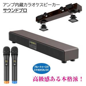TO-PLAN TKMI-002 カラオケスピーカー サウンドプロ Bluetooth搭載 アンプ内蔵 (エコー/DELAY/音質調整機能) 専用ワイヤレスマイク2本付 [ハイエンドモデル]
