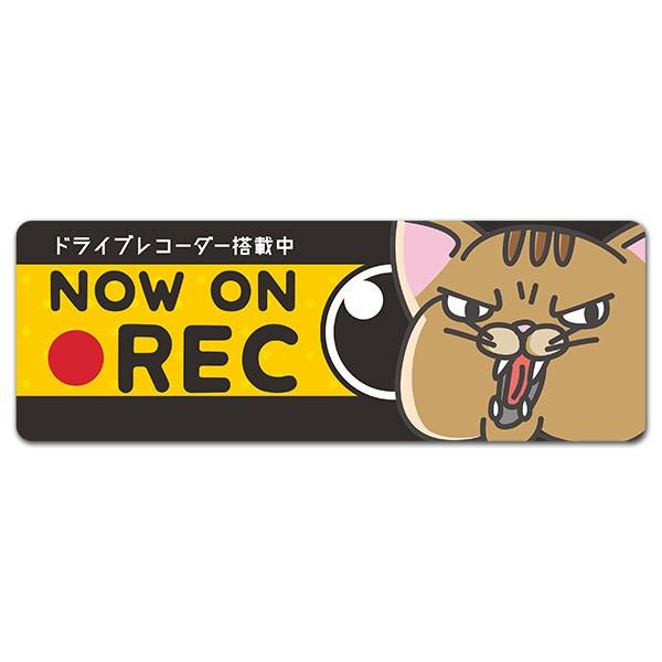 車ステッカー 威嚇ネコ ドライブレコーダー搭載中 NOW ON REC スリム型車マグネットステッカ...