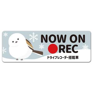 車ステッカー 首をかしげるシマエナガ NOW ON REC ドライブレコーダー搭載車 スリム型車マグネットステッカー ゆうパケット対応210円〜｜マグネットパークYahoo!店