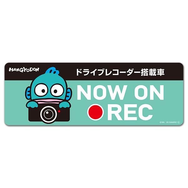 車ステッカー ハンギョドン ドラレコステッカー ドライブレコーダー搭載車 NOW ON REC スリ...