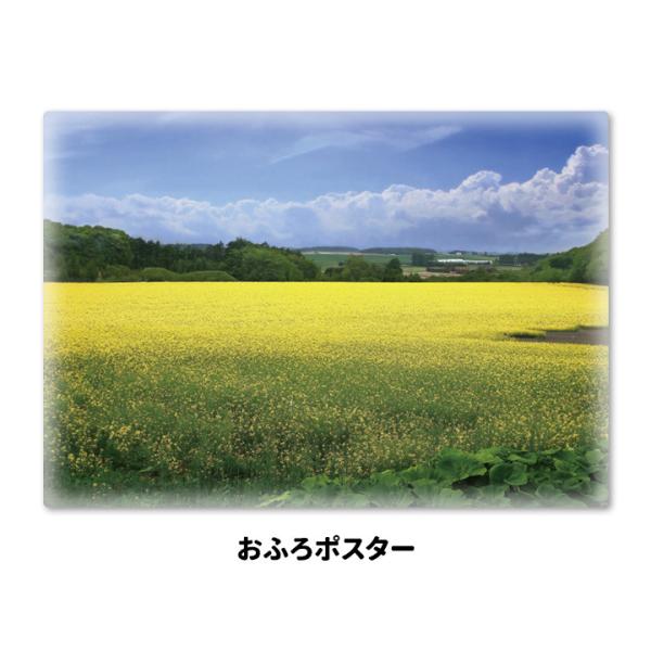 お風呂ポスター 菜の花畑 マグネットシート製 宅配便限定