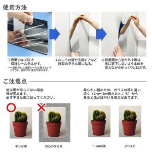 お風呂でも使える! 割れないミラー マグネット...の詳細画像3