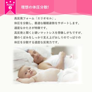 マニフレックス モデル246 シングル マットレスの詳細画像3