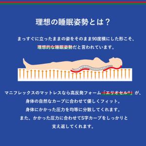 マニフレックス モデル246 シングル マットレスの詳細画像4