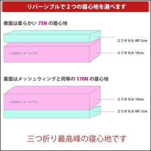 マニフレックス DD-ウィング シングル マットレスの詳細画像1