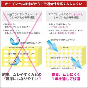 マニフレックス DD-ウィング シングル マットレスの詳細画像4