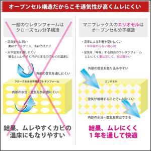 マニフレックス オクラホマ ダブル マットレスの詳細画像2