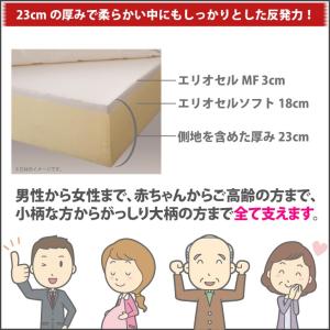マニフレックス T75 クイーン マットレスの詳細画像1