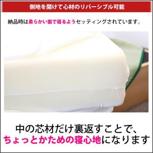 マニフレックス T75 クイーン マットレスの詳細画像4
