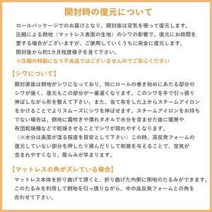 マニフレックス T75 クイーン マットレスの詳細画像5
