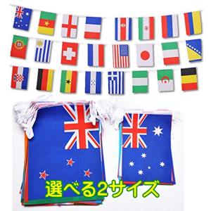 Morina 万国旗 運動会 100ヶ国分 【選...の商品画像