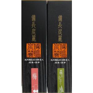 備長炭麗　小箱　2点セット 梅コンビ　お線香 煙の少ない 線香 お供え ギフト 贈答 お香 アロマ お彼岸 線香セット ペット供養品 御霊前 御仏前｜magochi