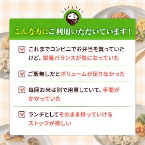 ご飯付き 21食 冷凍弁当 お試し 安い ご飯...の詳細画像2