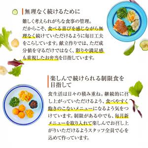 健康バランス食 10食 冷凍弁当 お試し 安い...の詳細画像4