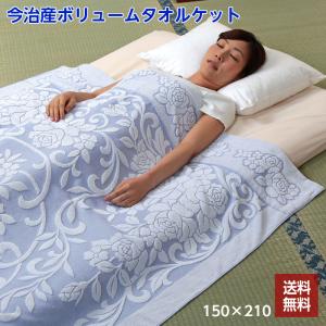 今治タオル（imabari towel） 今治 タオルケット 150×210 2色組 セット