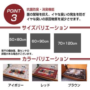 玄関マット おしゃれ 室内 ラグマット ラグ ...の詳細画像3