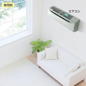 コジット パワーバイオ エアコンのカビきれい ...の詳細画像5