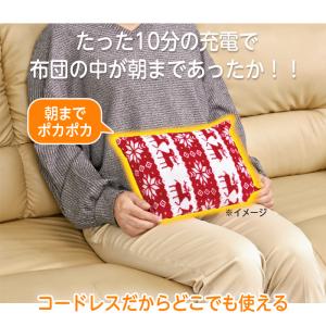 お湯のいらない 蓄熱湯たんぽ 27×19×15...の詳細画像1