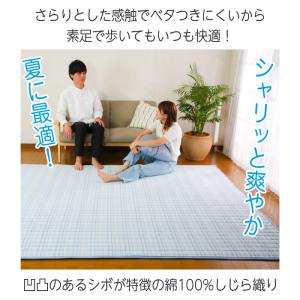 ラグ 洗える 夏用 おしゃれ ラグマット 春 ...の詳細画像1