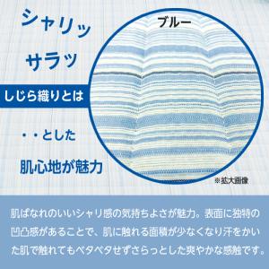 ラグ 洗える 夏用 おしゃれ ラグマット 春 ...の詳細画像2