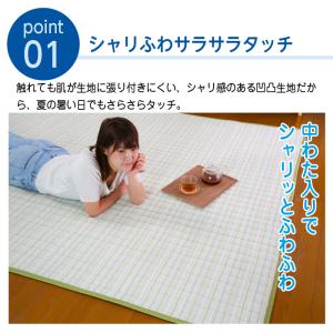 ラグ 洗える 夏用 おしゃれ ラグマット 春 ...の詳細画像3