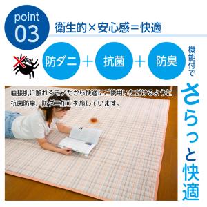 ラグ 洗える 夏用 おしゃれ ラグマット 春 ...の詳細画像5