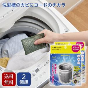 衣類と洗濯槽のW除菌Ag+ 3個入 約1年分 洗濯槽の除菌 抗菌 ニオイ