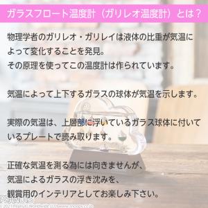 スヌーピー ガラスフロート温度計 ガリレオ温度...の詳細画像4