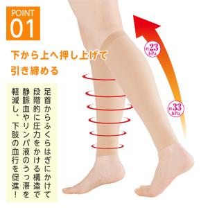 サポーター 着圧サポーター 極薄 一般医療用 ...の詳細画像2