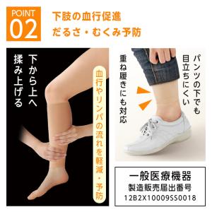 サポーター 着圧サポーター 極薄 一般医療用 ...の詳細画像3
