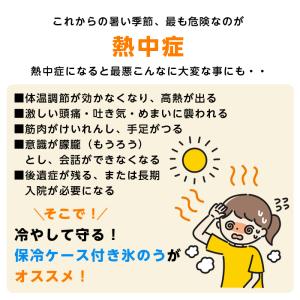 保冷ケース 氷のう 氷入れ 氷嚢 ケース付き ...の詳細画像1