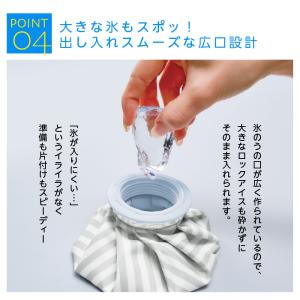 保冷ケース 氷のう 氷入れ 氷嚢 ケース付き ...の詳細画像5