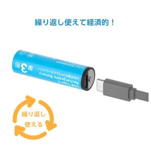 HIDISC 乾電池型 Type-C 充電池 ...の詳細画像1