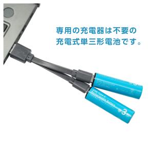HIDISC 乾電池型 Type-C 充電池 ...の詳細画像2
