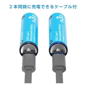 HIDISC 乾電池型 Type-C 充電池 ...の詳細画像3