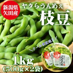 冷蔵便 新潟 枝豆 1kg 500g×2袋 朝採り 矢田営農 お中元