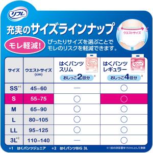 大人用紙おむつ パンツ Sサイズ 22枚入 4...の詳細画像2