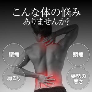 姿勢矯正 椅子 骨盤矯正 姿勢サポート チェア...の詳細画像4
