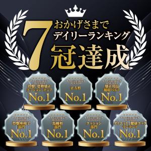姿勢矯正 椅子 骨盤矯正 姿勢サポート チェア...の詳細画像2