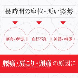 姿勢矯正 椅子 骨盤矯正 姿勢サポート チェア...の詳細画像5