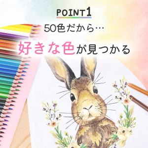 色鉛筆 セット 50色 プレゼント ぬり絵 セ...の詳細画像4